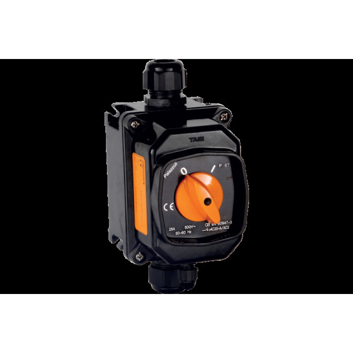 ВИМИКАЧ ІЗОЛЯЦІЙНИЙ CAM-EX В ТЕРМОРЕАКТИВНОМУ ВИКОНАННІ (GRP) 2X25A IP66 2D 3G