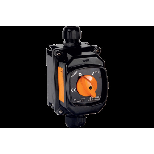CAM-EX ISOLATOR SWITCH IN THERMOSETTING (GRP) 4X25A IP66 2D 3G nR
